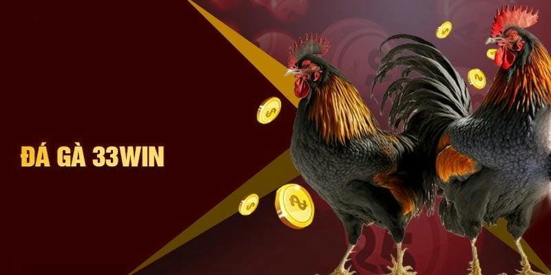 Đá gà 33WIN siêu kịch tính