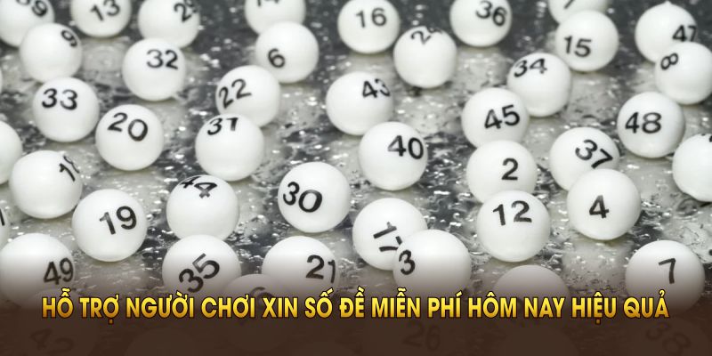 33win tự hào hỗ trợ người chơi xin số đề miễn phí hôm nay hiệu quả, nhanh chóng nhất