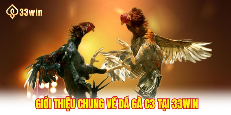 Giới thiệu chung về đá gà C3 tại 33WIN